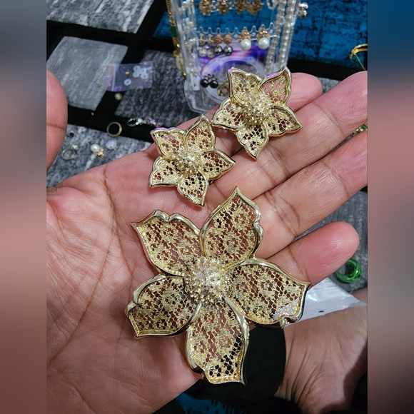 Earrings and Brooch set - Picture 1 of 6